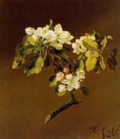 Heade, Martin Johnson - A Spray of Apple Blossoms